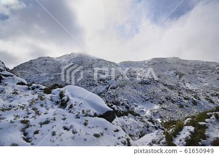[Yakushima] Miyanoura dake of fresh snow [Miyanoura sidewalk] 61650949