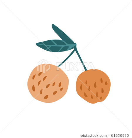 Cute funny apples in doodle style isolated on Cute funny apples in doodle style isolated on 61650950