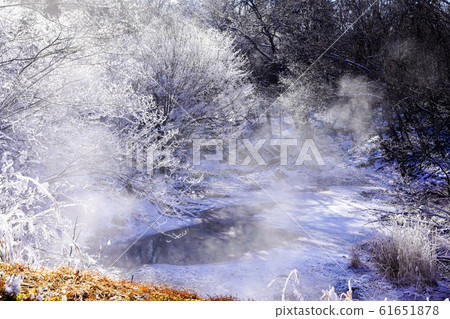 冬季福克@阿寒湖 冬季福克@阿寒湖 61651878