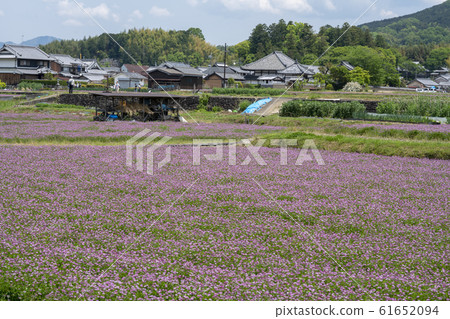 Lenge field Lenge field 61652094