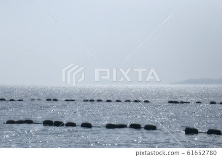 Sea at night, the moonlight shining brightly. Sea at night, the moonlight shining brightly. 61652780