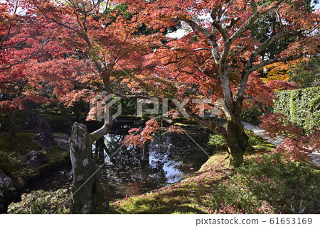 Shogakuin Imperial Palace Imperial Palace 61653169