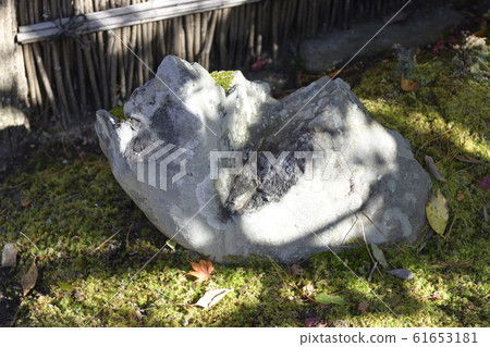 Shogakuin Imperial Palace Imperial Palace 61653181