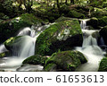Sangdong Mossy Valley 61653613