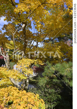 Shugakuin Imperial Palace Imperial Palace 61653646