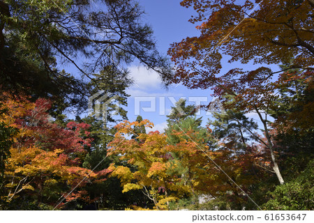 Shugakuin Imperial Palace Imperial Palace 61653647