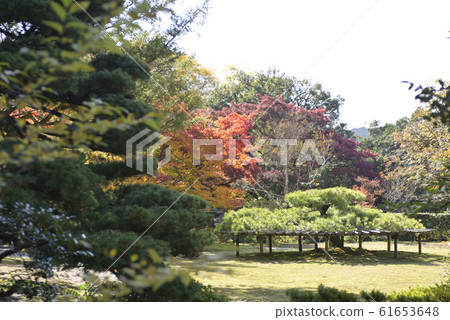 Shogakuin Imperial Palace Reborn Goba 61653648