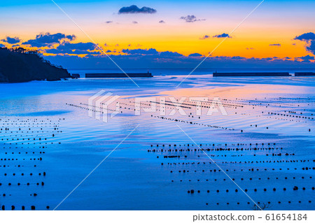 Morning glow in Ofunato Bay [Iwate] 61654184