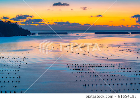 Morning glow in Ofunato Bay [Iwate] 61654185