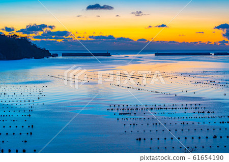 Morning glow in Ofunato Bay [Iwate] 61654190