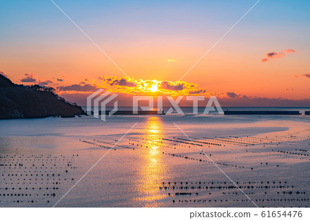 Morning glow in Ofunato Bay [Iwate] 61654476