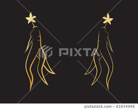 Red korean or chinese ginseng root illustration. 61654948