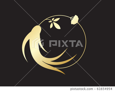 Red korean or chinese ginseng root illustration. 61654954