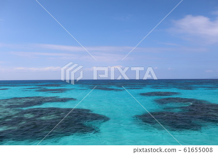 Hateruma島海 Hateruma島海 61655008