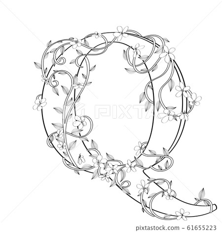 Letter Q floral sketch 61655223