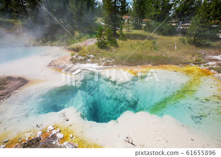 Yellowstone 61655896
