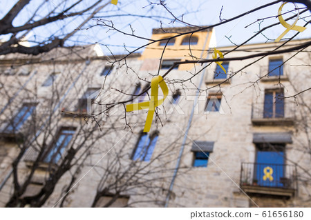 Catalonia sign in Spain on a tree branch close-up. 61656180