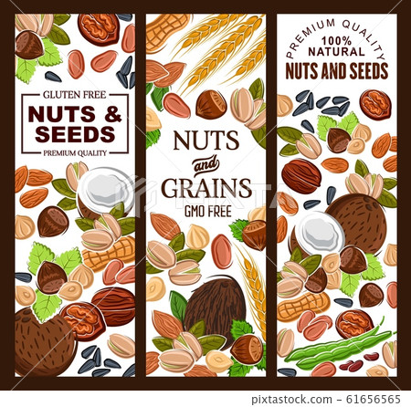 Kernels and nuts, cereal grains, seeds 61656565
