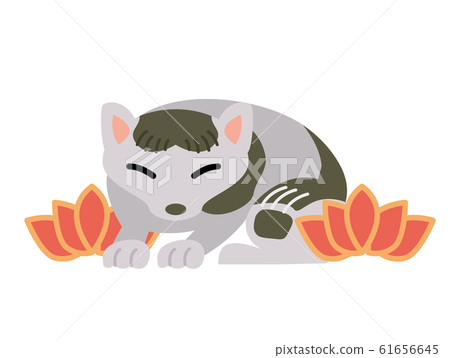 Sunlight cat sleeping Sunlight cat sleeping 61656645