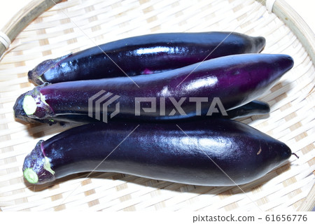 Long eggplant Long eggplant 61656776