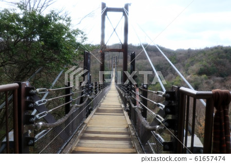 Suspension Bridge: Star Swing: Hoshida Garden Suspension Bridge: Star Swing: Hoshida Garden 61657474