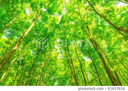 Fresh green and eco image 61657616