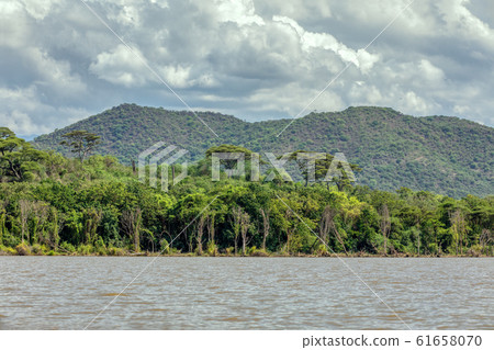 Lake Chamo landscape, Ethiopia Africa 61658070