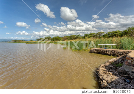 Lake Chamo landscape, Ethiopia Africa 61658075