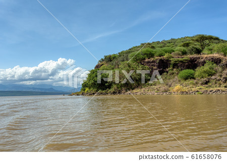 Lake Chamo landscape, Ethiopia Africa 61658076