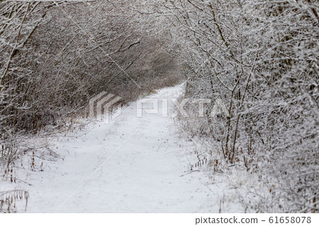 Winter landscape covered with snowfall 61658078