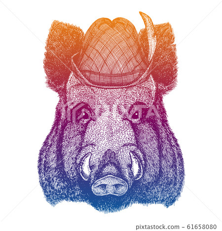 Vector aper, boar, hog, wild boar. Bavarian traditional hat. Tirol austrian hat. Beer Oktoberfest character portrait. 61658080