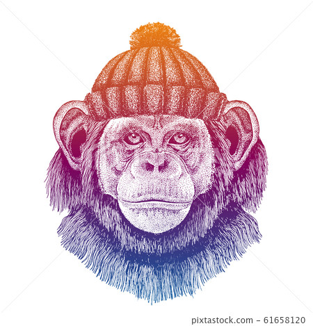 Ski, skier animal wearing woolen knitted hat. Christmas time. Cartoon character for little children. Kids print for tee Ski, skier animal wearing woolen knitted hat. Christmas time. Cartoon character for little children. Kids print for tee 61658120