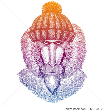 Ski, skier monkey, baboon, ape. Animal wearing woolen knitted hat. Christmas time. Cartoon character for little children. Kids print for tee 61658179