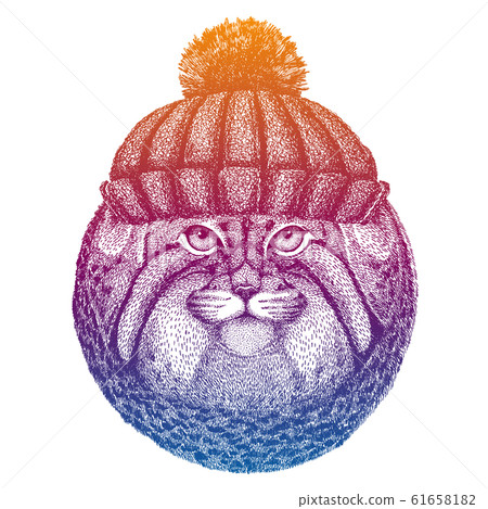 Cat, manul. Ski, skier animal wearing woolen knitted hat. Christmas time. Cartoon character for little children. Kids print for tee 61658182