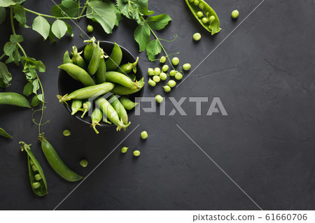 Green fresh pea seeds and branches on black. Green fresh pea seeds and branches on black. 61660706