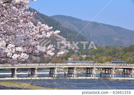 Sakura View Kyoto Arashiyama Sakura View Kyoto Arashiyama 61661358