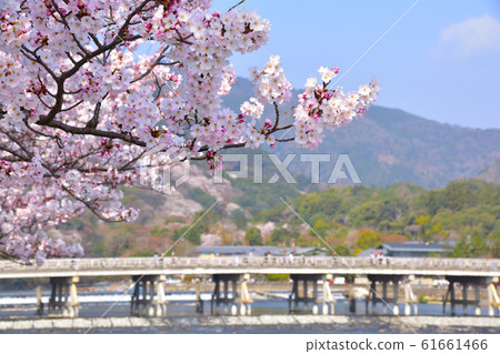 Sakura View Kyoto Arashiyama Sakura View Kyoto Arashiyama 61661466