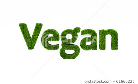 3D word VEGAN made of green grass, save the earth concept. 3D word VEGAN made of green grass, save the earth concept. 61663225