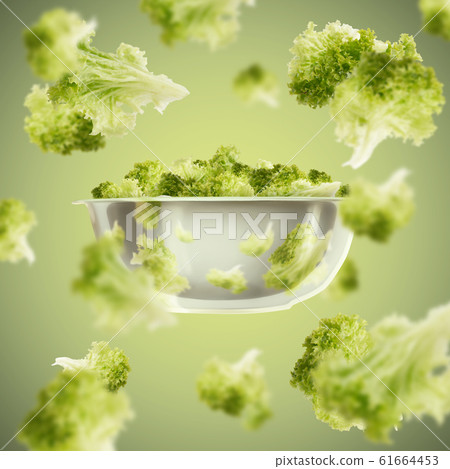 Flying salad leaves from plate over green background 61664453