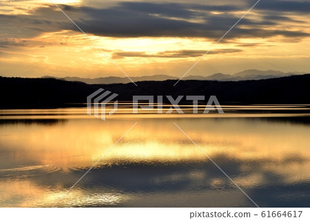 拍攝狹山湖的金色夕陽 拍攝狹山湖的金色夕陽 61664617