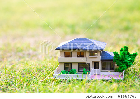 House model lawn House model lawn 61664763