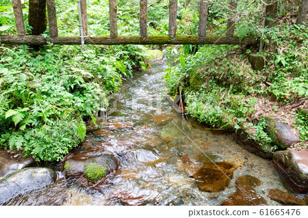 鹽沼冷泉清澈 鹽沼冷泉清澈 61665476