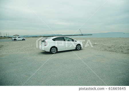 Coast sandy beach sea Coast sandy beach sea 61665645