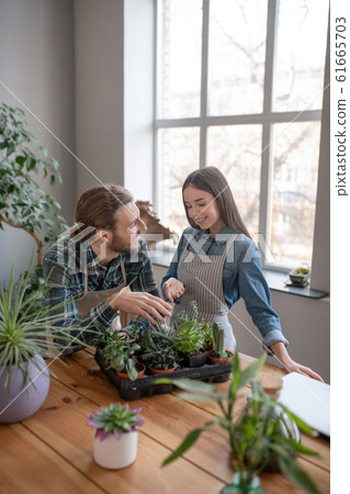 Smiling man and woman looking after succulents together 61665703