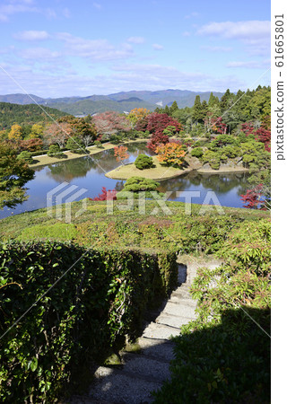 Shogakuin皇宮皇宮龍捲風池塘 61665801