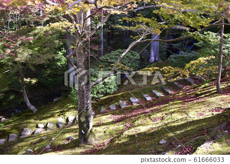 Shogakuin Imperial Palace Imperial Palace Shogakuin Imperial Palace Imperial Palace 61666033
