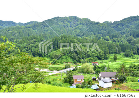 Scenery of Oito Line, Himekawa and Route 148 Scenery of Oito Line, Himekawa and Route 148 61667562