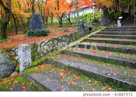 秋天的福知山市長安寺 61667572