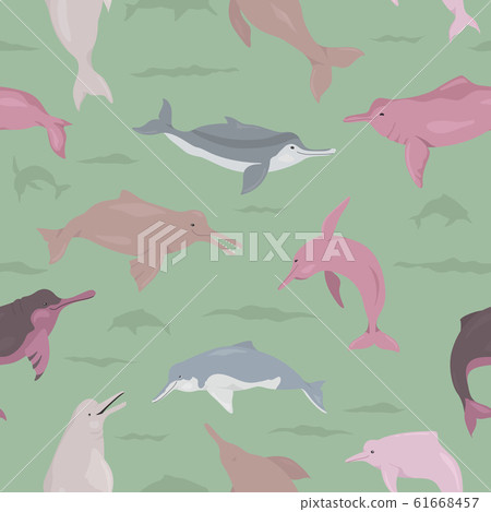 River dolphins seamless pattern. Marine mammals 61668457