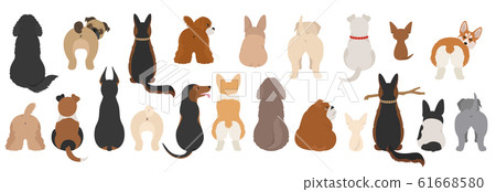 Dogs poses behind. Dog`s butts. Flat design Dogs poses behind. Dog`s butts. Flat design 61668580
